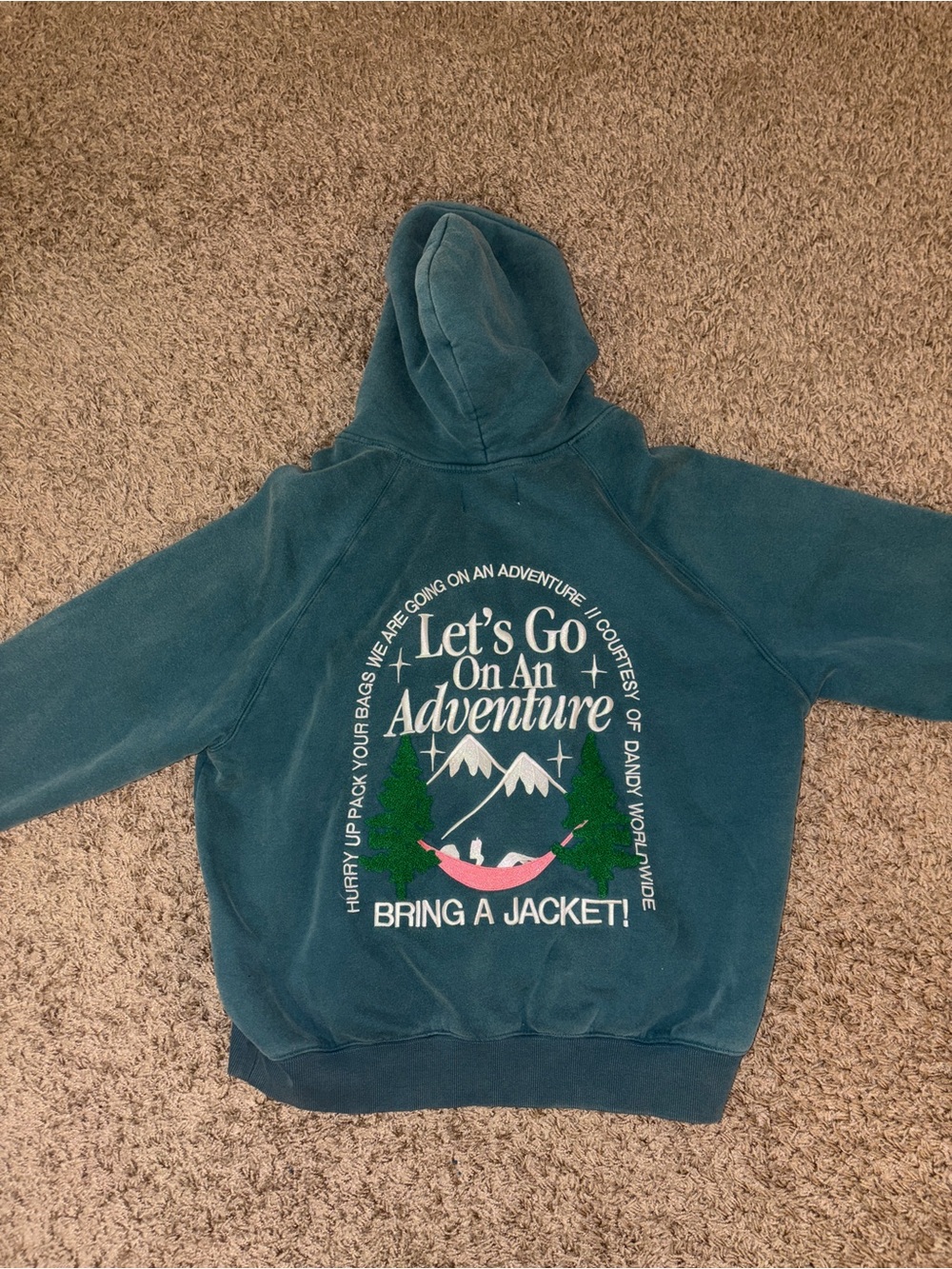 NEW WITHOUT TAGS Dandy Worldwide Halle x Dandy Adventure Hoodie - Picture 4 of 7